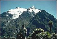 Rwenzori Mountain Climbing I