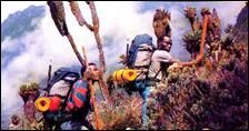 Rwenzori Mountain Climbing IV